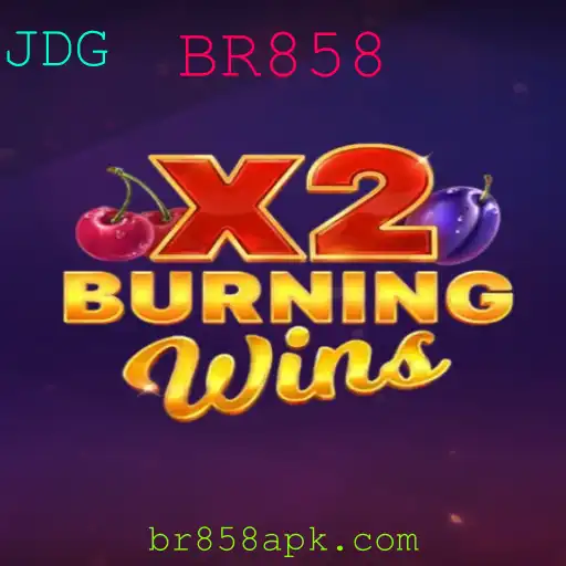 Explorando o Fascínio do Jogo 'BurningWinsX2'