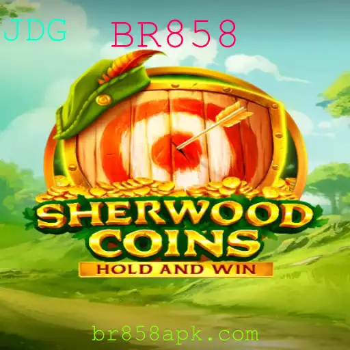 Explorando o Mundo de SherwoodCoins: Uma Aventura Cheia de Desafios
